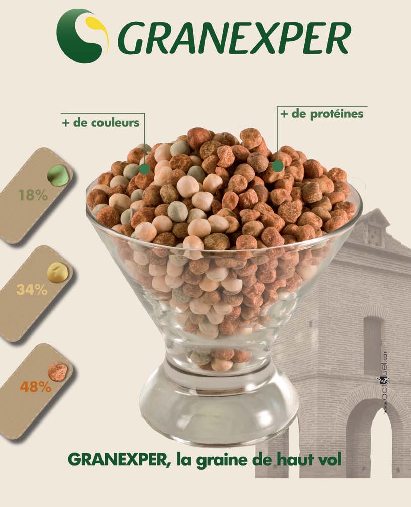 Affiche melange Pois