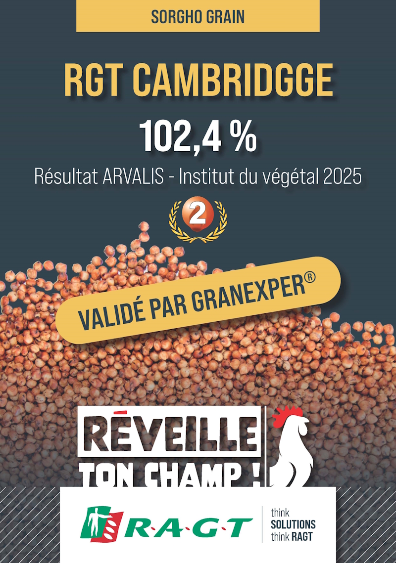 Annonce RGT CAMBRIDGGE