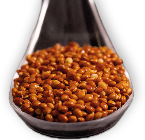 Cuillere Millet