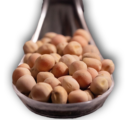 Cuillere Pois