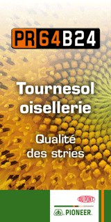 Bannire web
