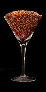 verre sorgho